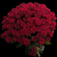 101 роза Ред Наоми,  60 см