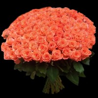 101 роза Вау, 50 см