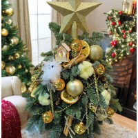 Елочка "Золотая звезда зимы"